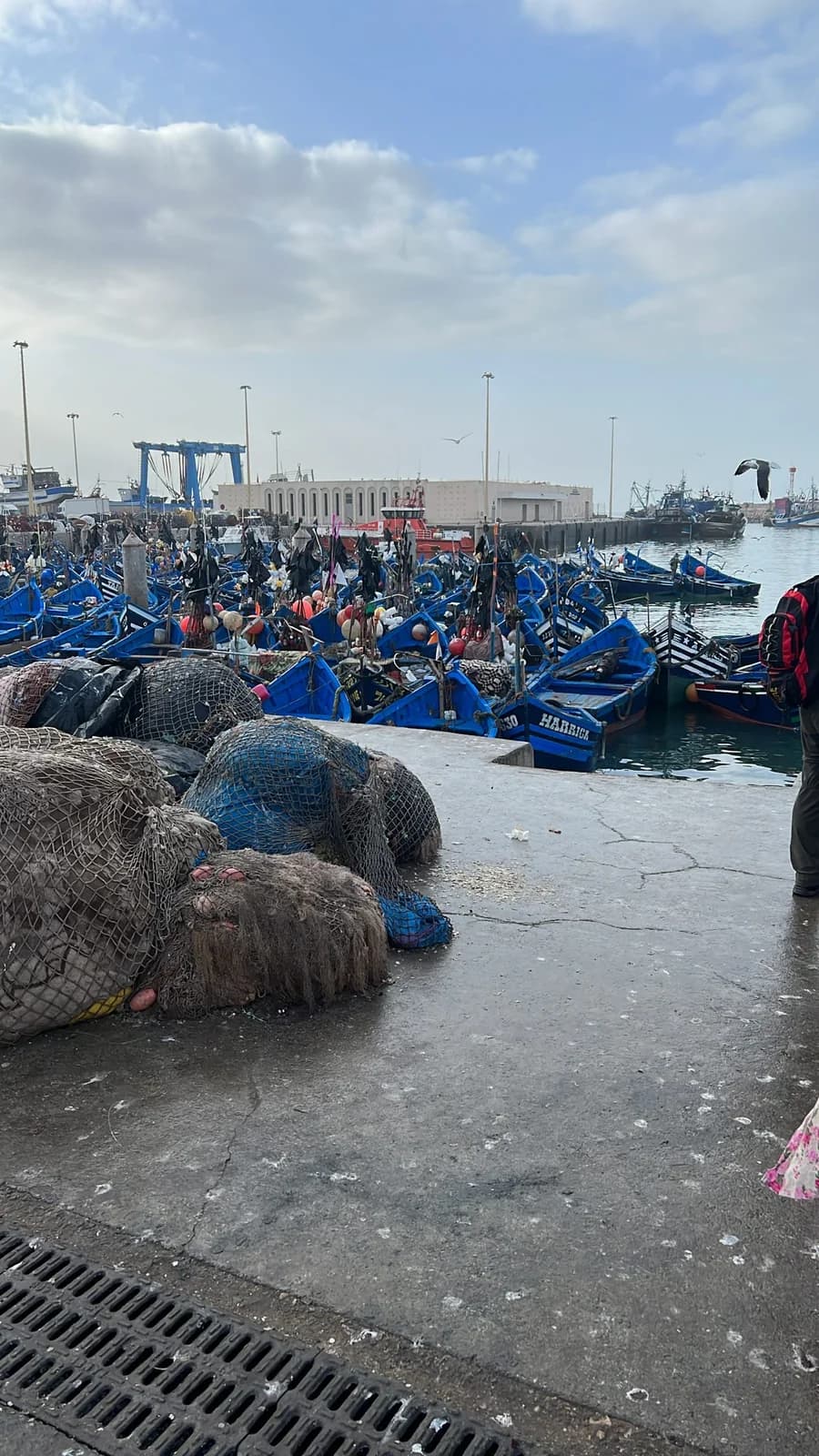 Blue fishing boats in Essaouira harbour on Morocco's Atlantic coast