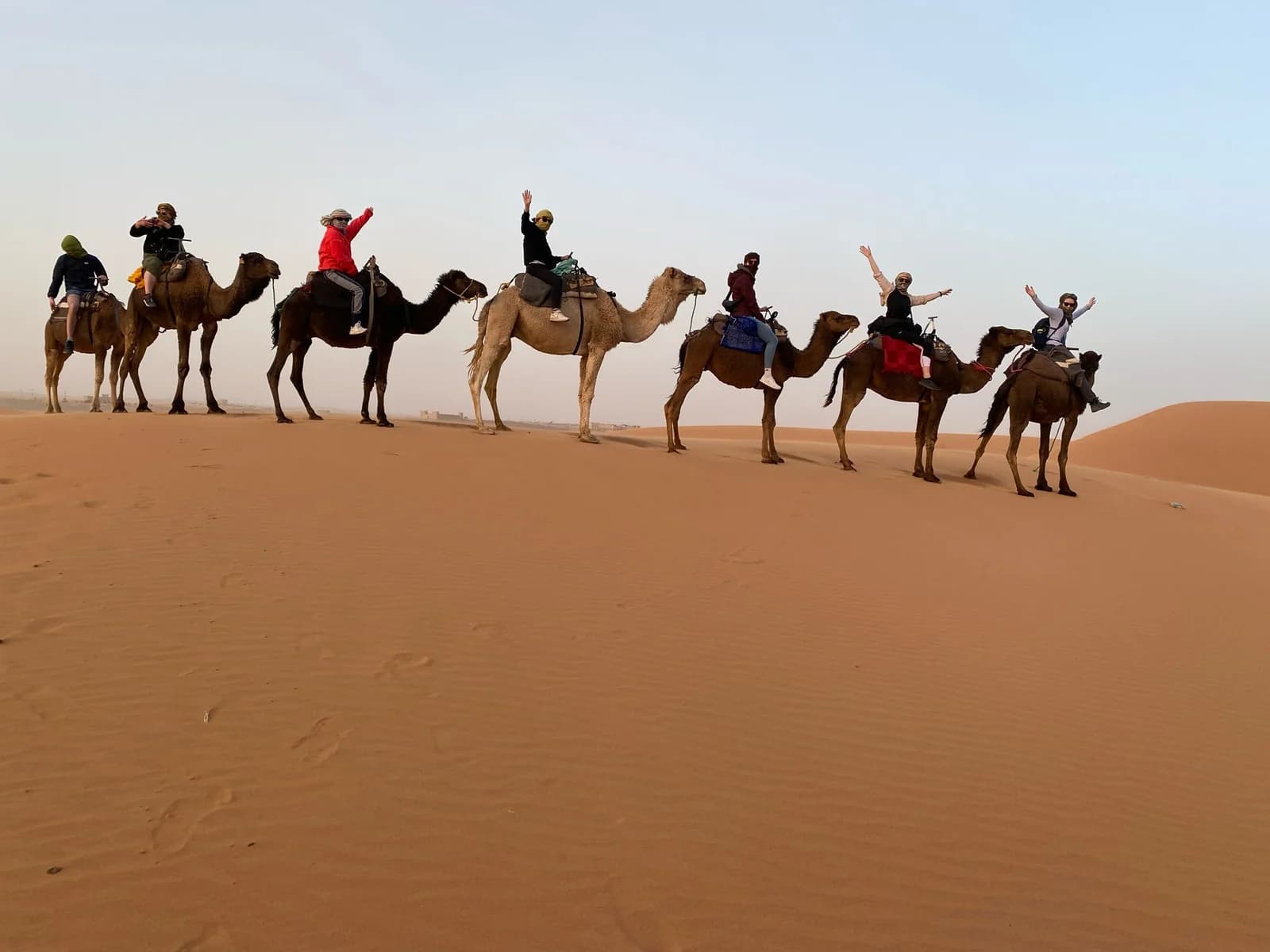 Camel caravan crossing the dunes near Merzouga
