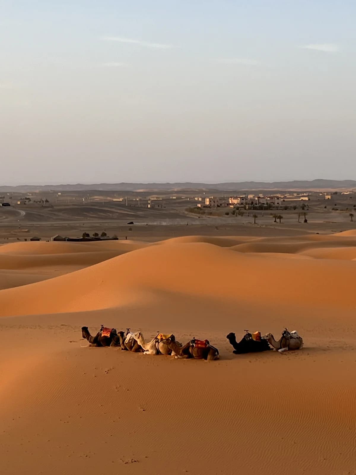 Golden Erg Chebbi dunes near Merzouga in southeastern Morocco