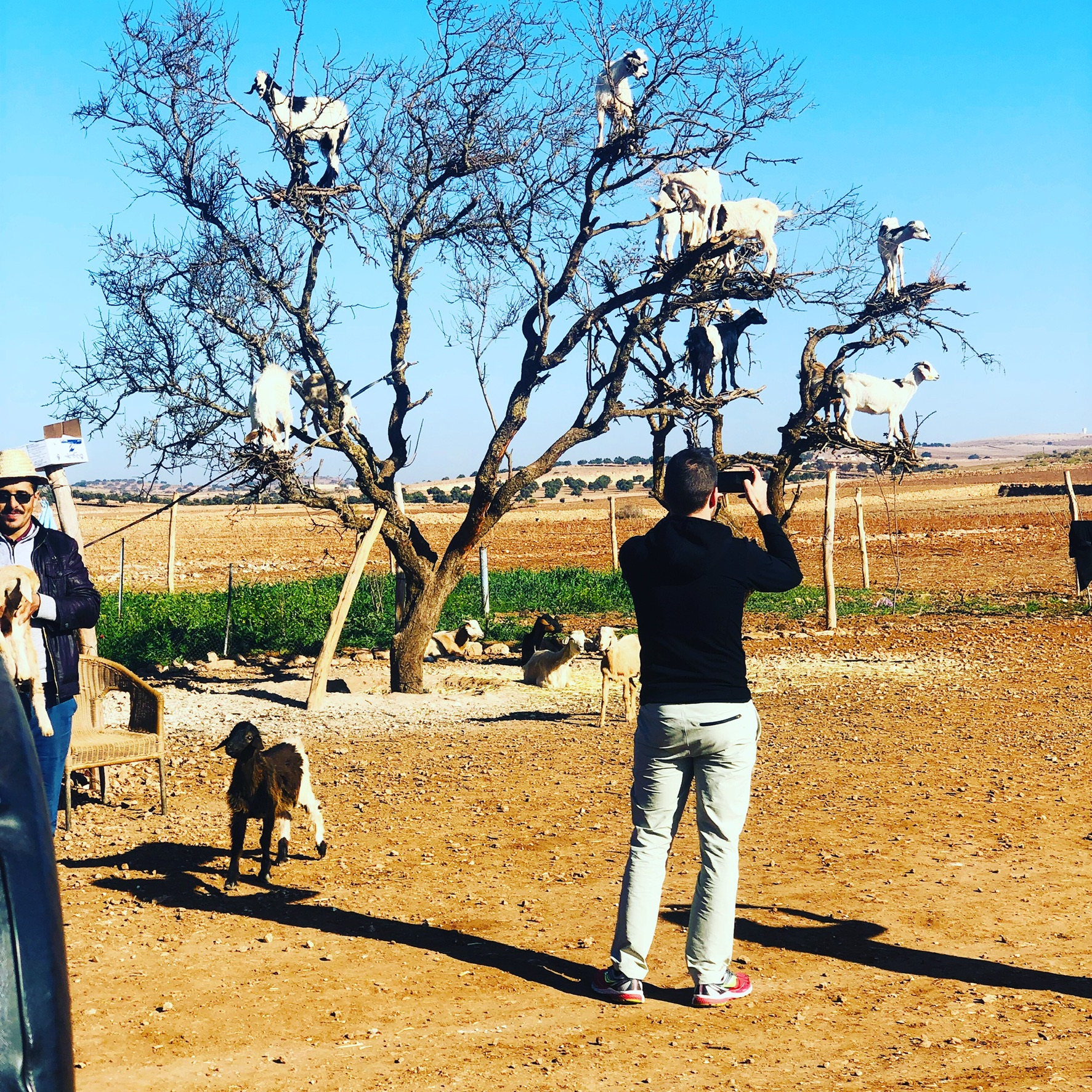 morocco desert tour