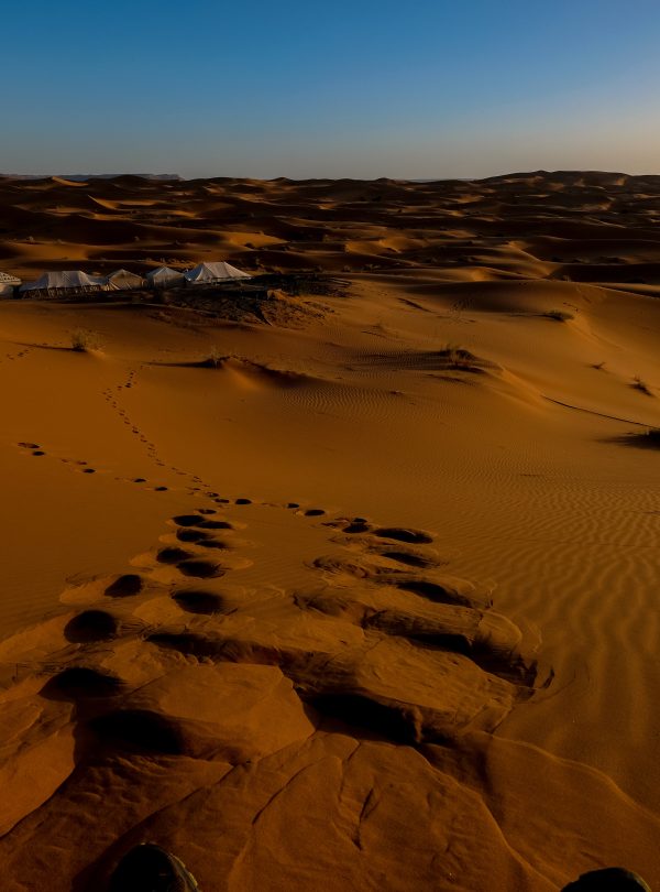 Exploring the stunning beauty of Morocco's desert with Morocco Travelogue