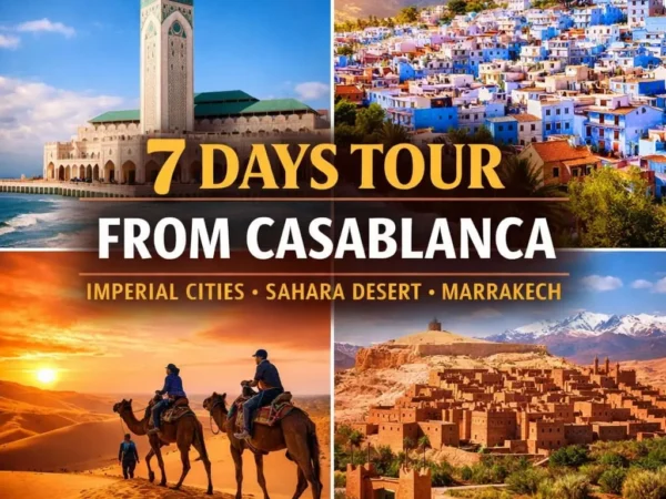 7 Days Tour From Casablanca