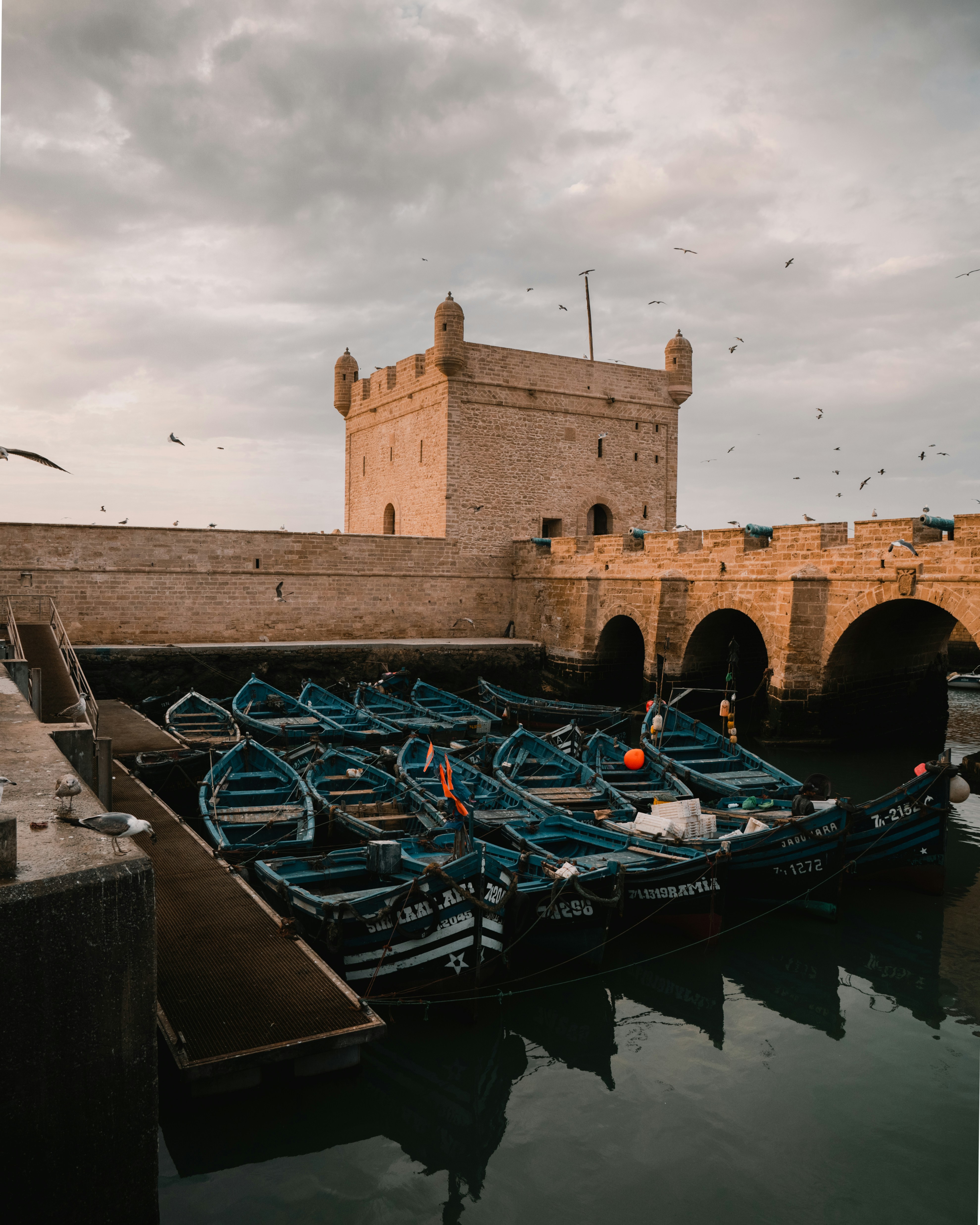 Essaouira day trip from marrakech